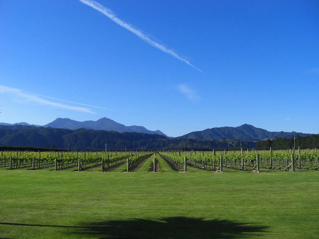 Straw Lodge Vineyard And Boutique Lodging Renwick Экстерьер фото