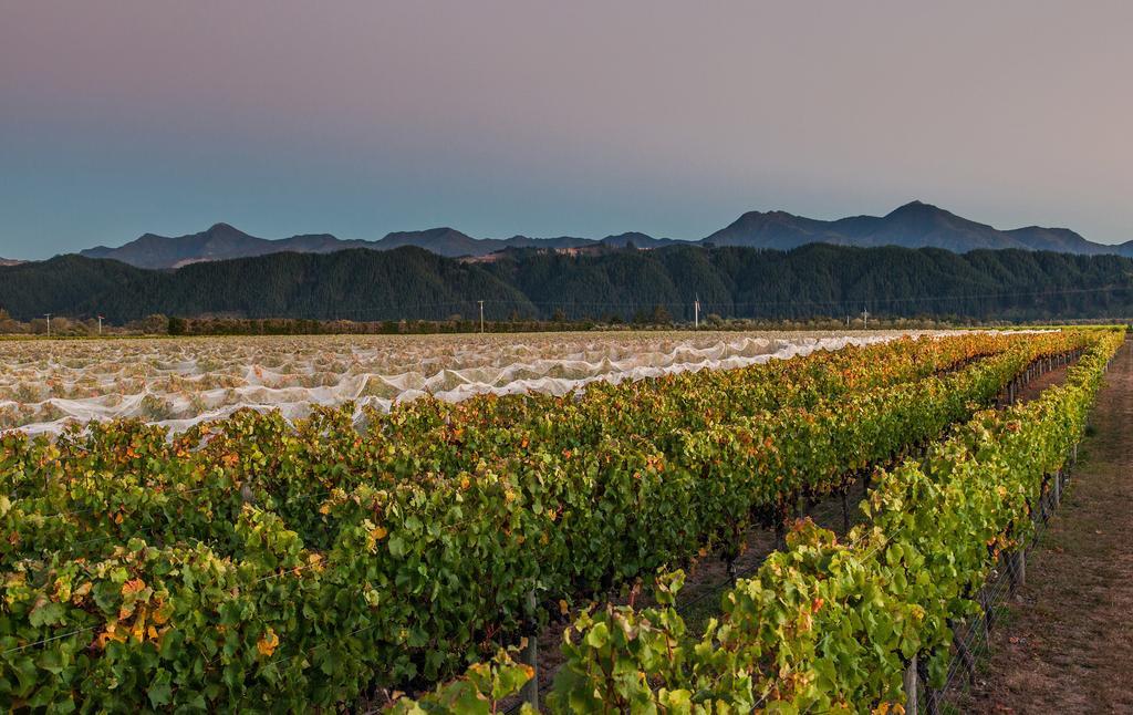 Straw Lodge Vineyard And Boutique Lodging Renwick Экстерьер фото