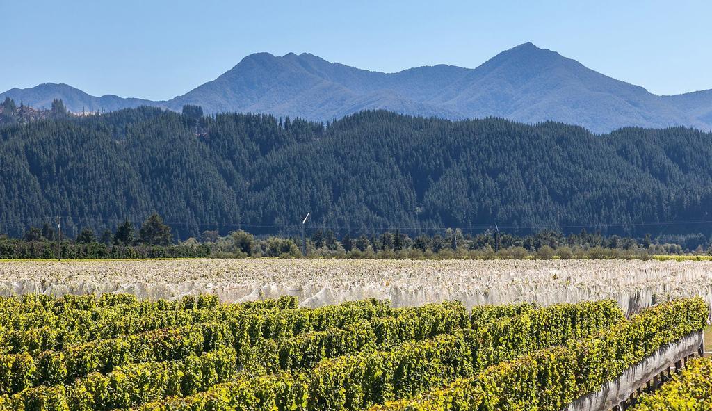 Straw Lodge Vineyard And Boutique Lodging Renwick Экстерьер фото